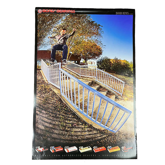 Bones Bearings 24" x 36" DAVID REYES Poster