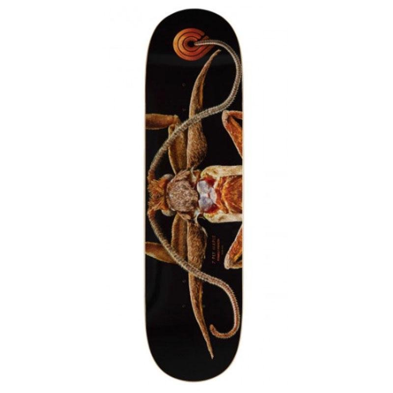 Powell Peralta 8.25” x 31.95" BISS Marion Moth Skateboard Deck - 5150 Skate Shop