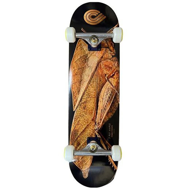 Powell Peralta 8.5” BISS Leaf Grasshopper Fall Custom Complete Skateboard-5150 Skate Shop