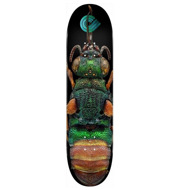 Powell Peralta 8.5" BISS Ruby Tailed Wasp Skateboard Deck - 5150 Skate Shop