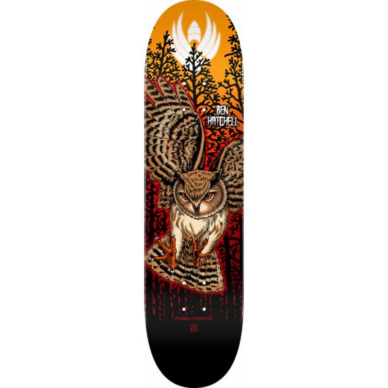 Powell Peralta 8.5" x 32.08" Pro Ben Hatchell Owl2 Flight Skateboard Deck-5150 Skate Shop